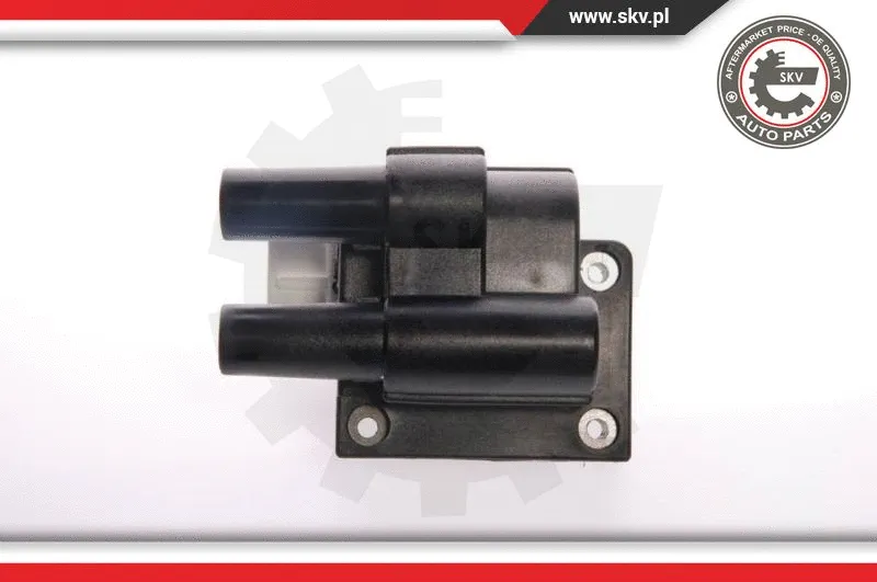 Ignition Coil (03SKV039)