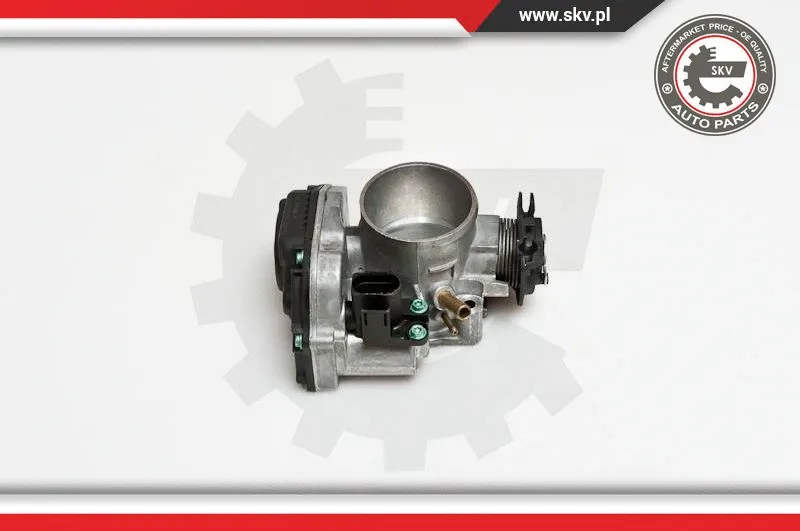 Throttle Body (12SKV034)