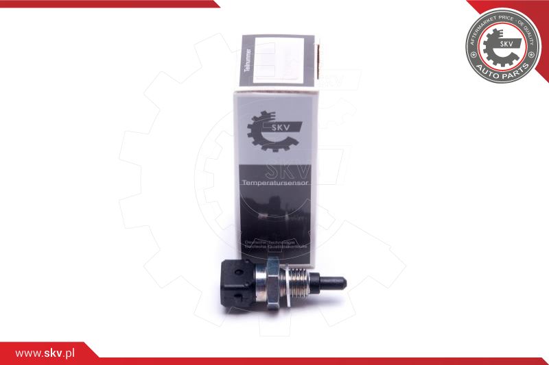 Sensor, intake air temperature (17SKV686)