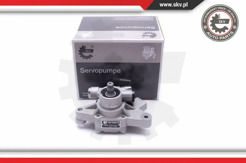 Hydraulic Pump, steering (10SKV313)