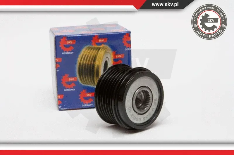Alternator Freewheel Clutch (11SKV032)
