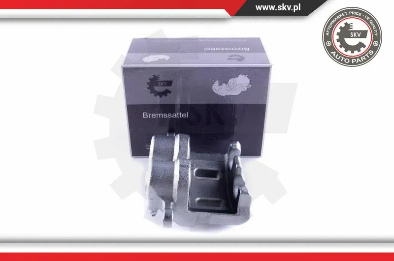 Brake Caliper (55SKV521)