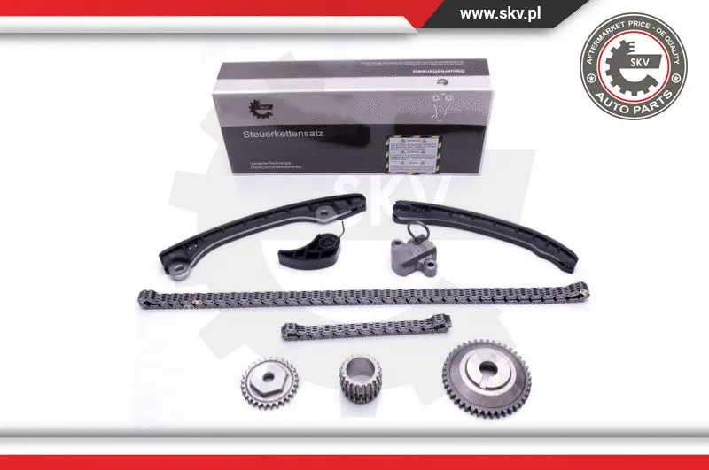 Timing Chain Kit (21SKV248)