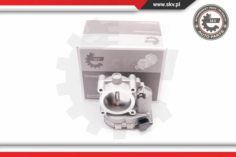 Throttle Body (12SKV067)