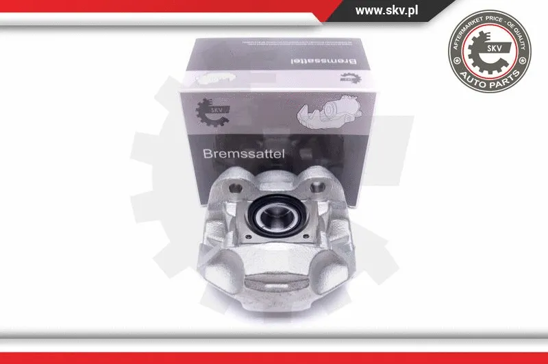 Brake Caliper (45SKV441)