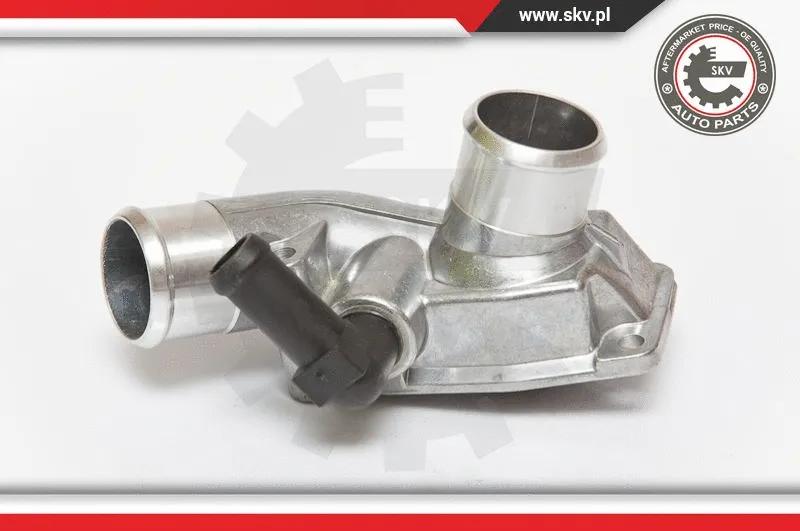 Thermostat, coolant