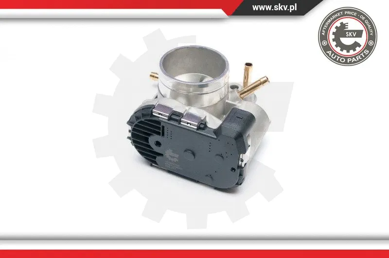 Throttle Body