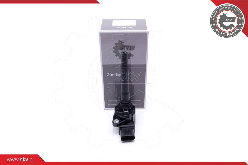 Ignition Coil (03SKV278)