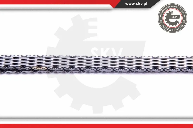 Timing Chain Kit