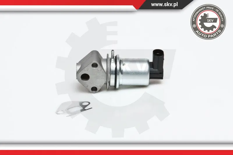 EGR Valve