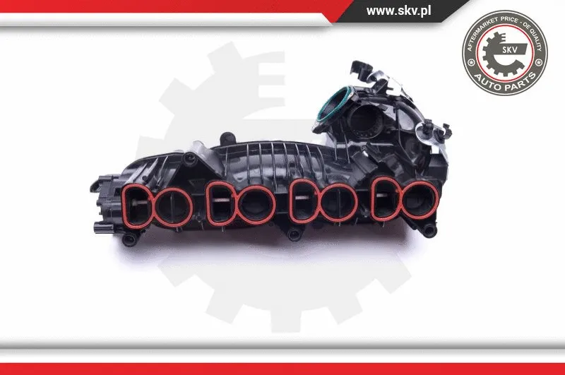 Intake Manifold Module