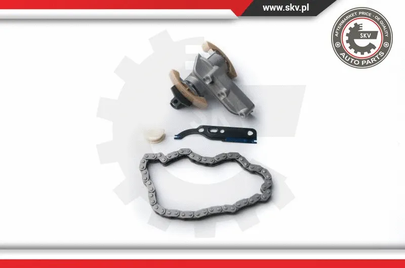 Timing Chain Kit (21SKV010)