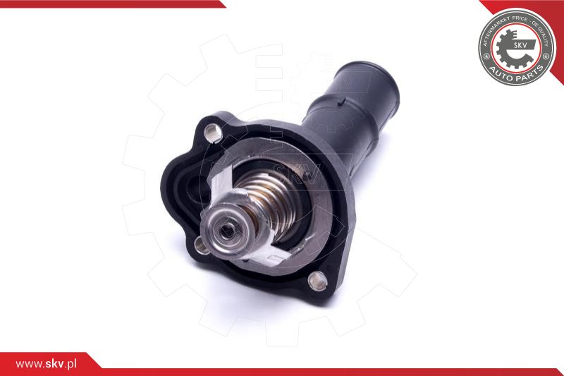 Thermostat, coolant