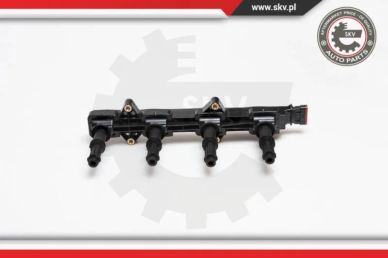 Ignition Coil (03SKV143)