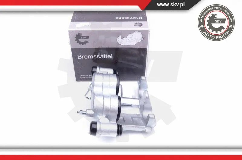 Brake Caliper (42SKV881)