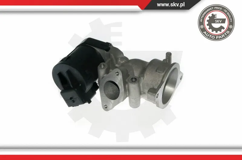 EGR Valve