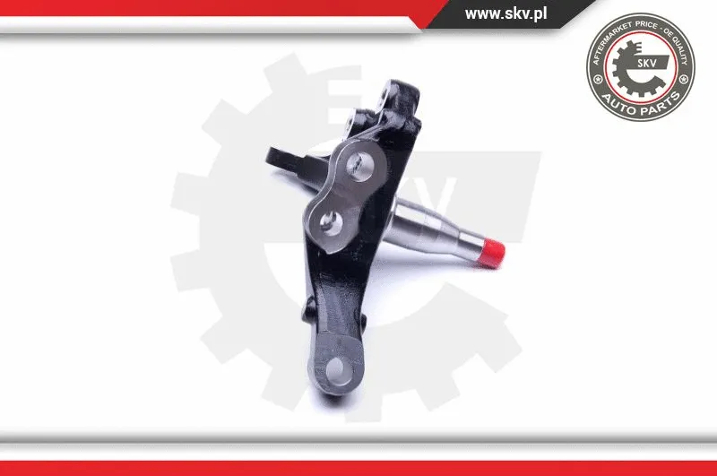 Steering Knuckle, wheel suspension