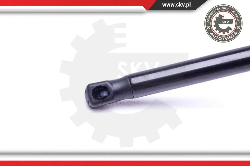 Gas Spring, boot/cargo area