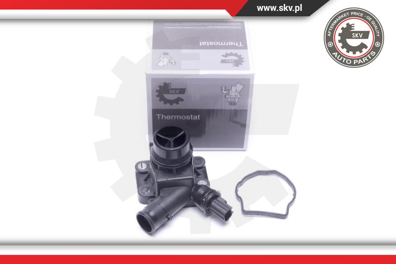 Thermostat, coolant (20SKV170)