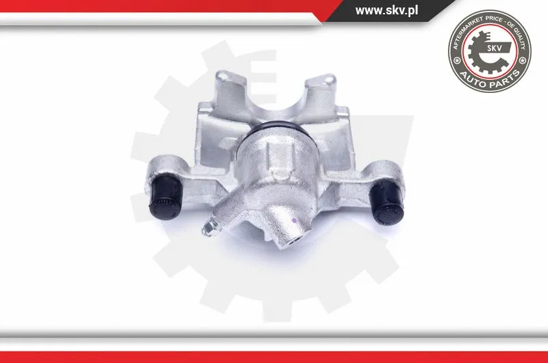 Brake Caliper (44SKV943)