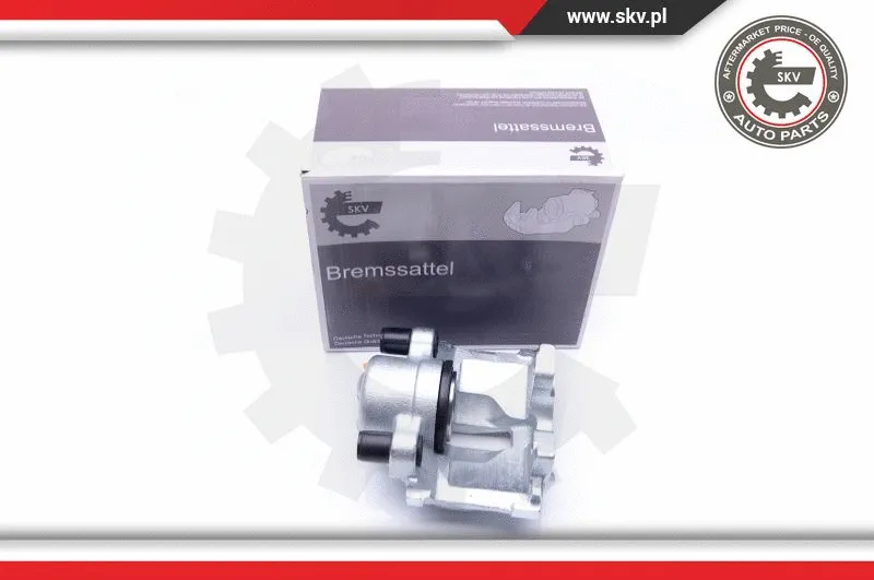 Brake Caliper (42SKV164)