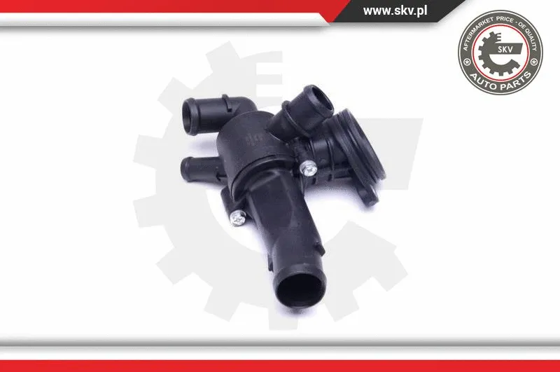 Thermostat, coolant