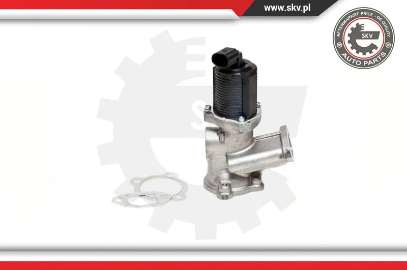 EGR Valve