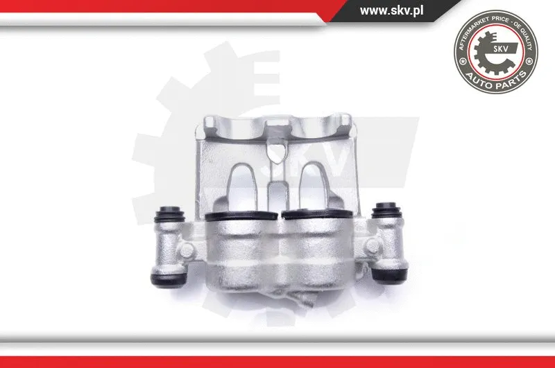 Brake Caliper (34SKV022)