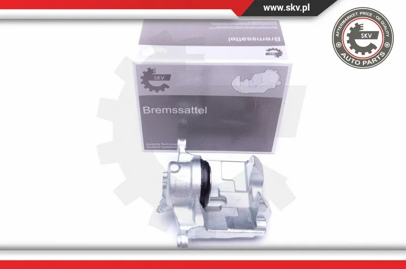Brake Caliper (44SKV541)
