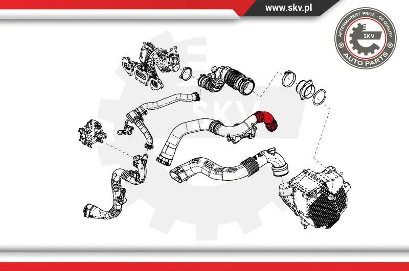 Charge Air Hose