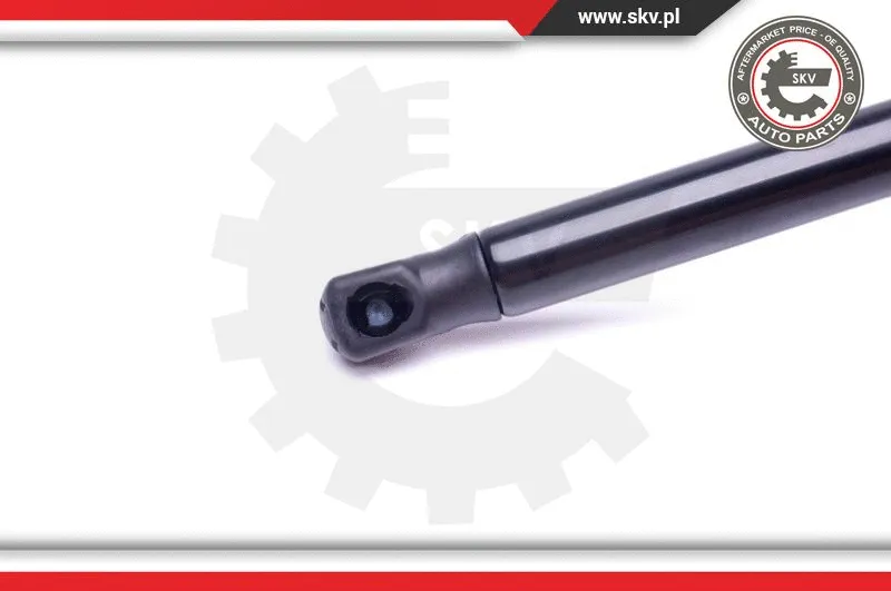 Gas Spring, boot/cargo area