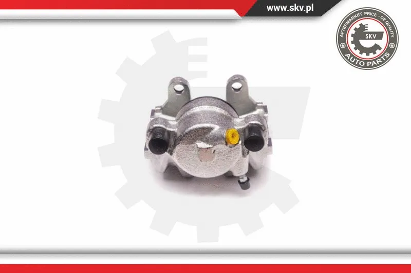 Brake Caliper (23SKV442)