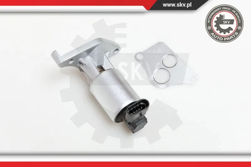 EGR Valve (14SKV013)