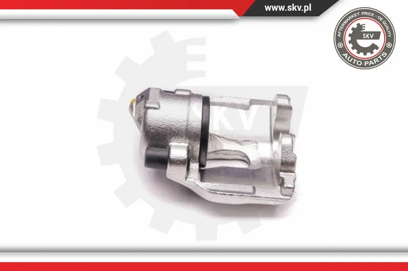 Brake Caliper (23SKV015)