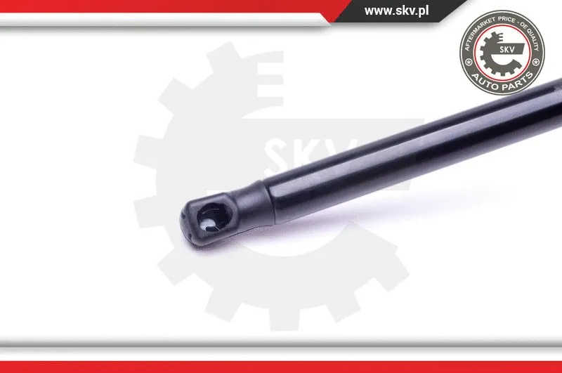 Gas Spring, boot/cargo area