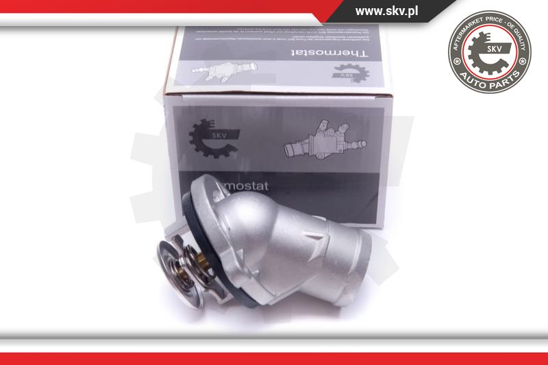 Thermostat, coolant (20SKV156)