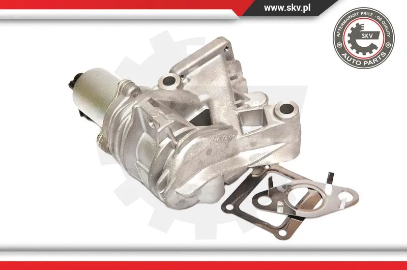EGR Valve
