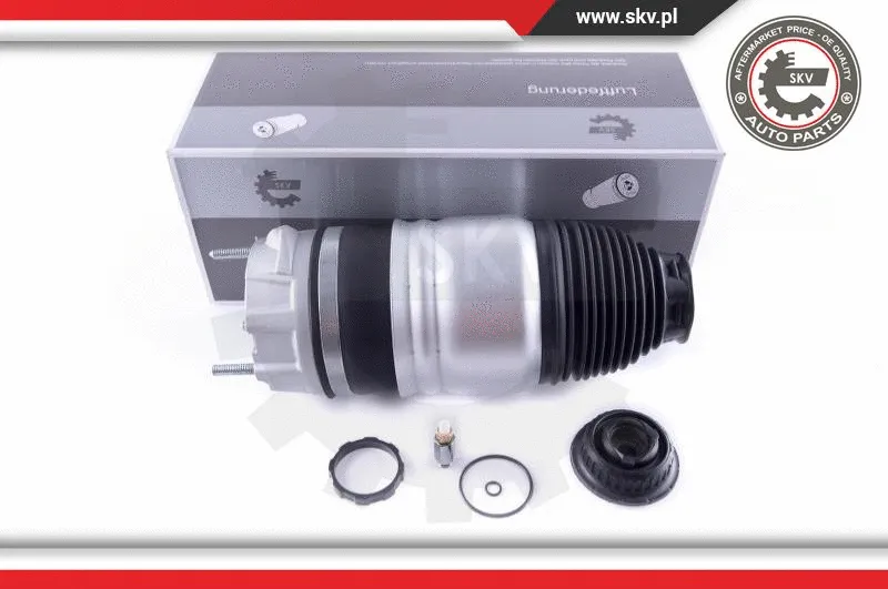 Air Spring, suspension (58SKV048)