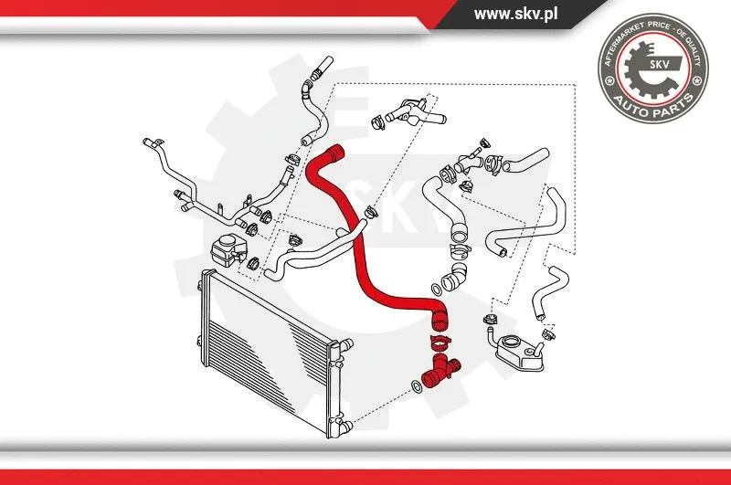 Radiator Hose (24SKV344)