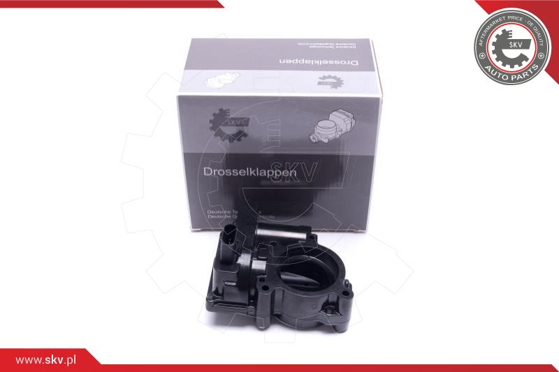 Throttle Body (12SKV107)