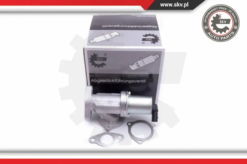 EGR Valve (14SKV209)