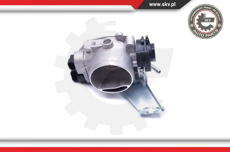 Throttle Body