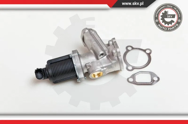 EGR Valve