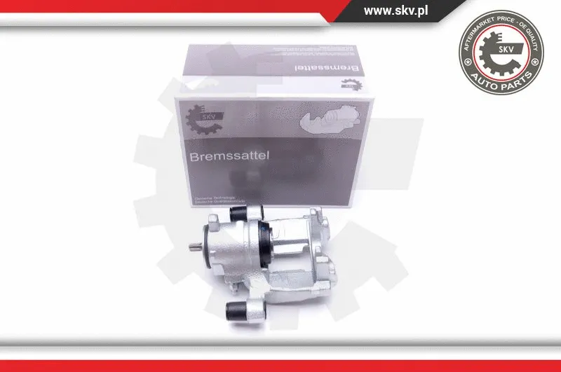Brake Caliper (44SKV413)