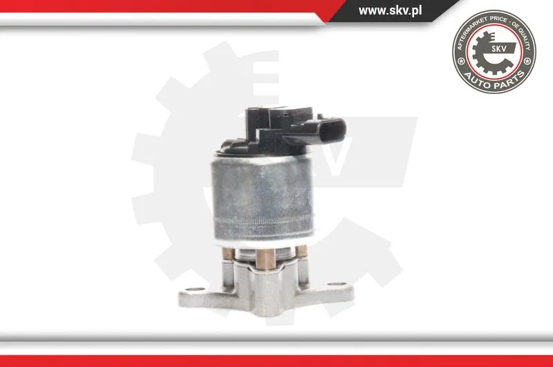 EGR Valve