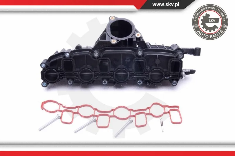 Intake Manifold Module