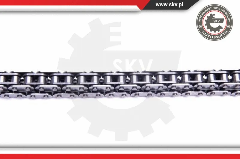 Timing Chain Kit