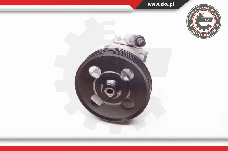 Hydraulic Pump, steering (10SKV238)