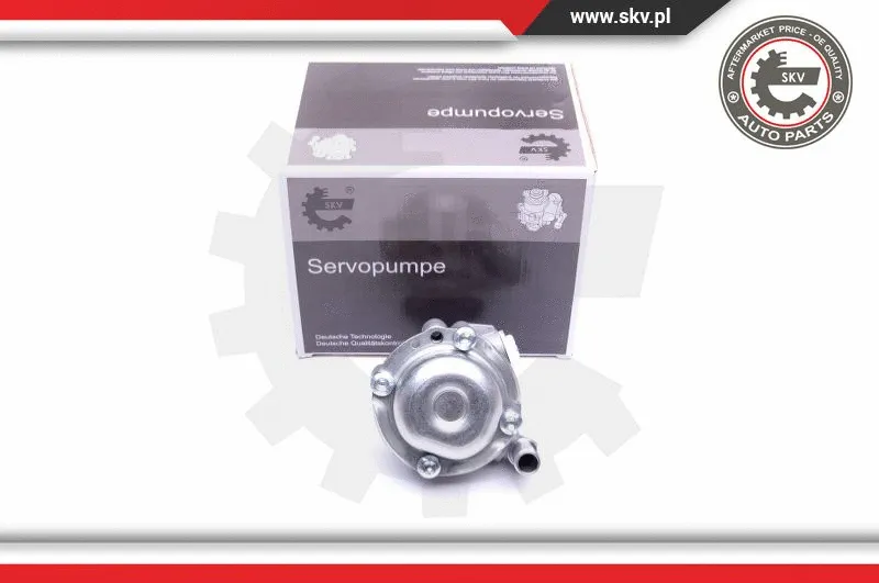 Hydraulic Pump, steering (10SKV170)