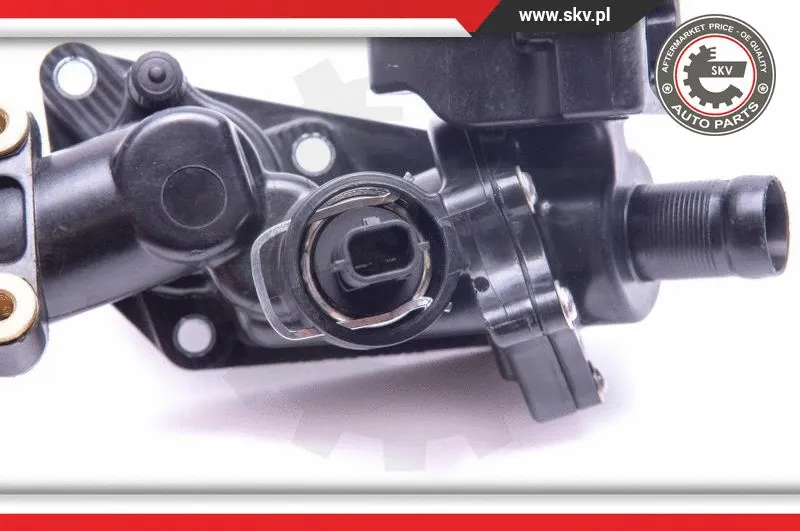 Thermostat, coolant